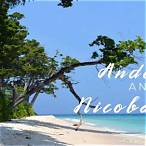 andaman nicobar bet